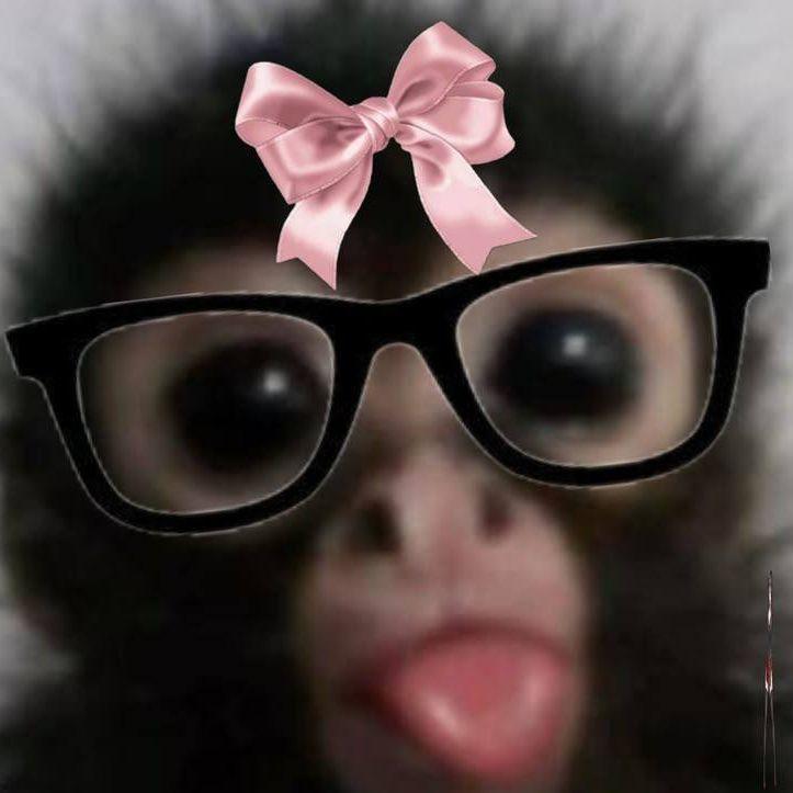 MOrcccIK avatar