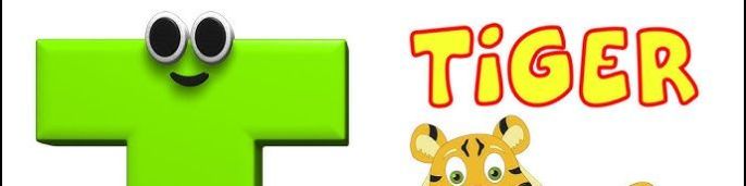 Faceit banner for @ttttt