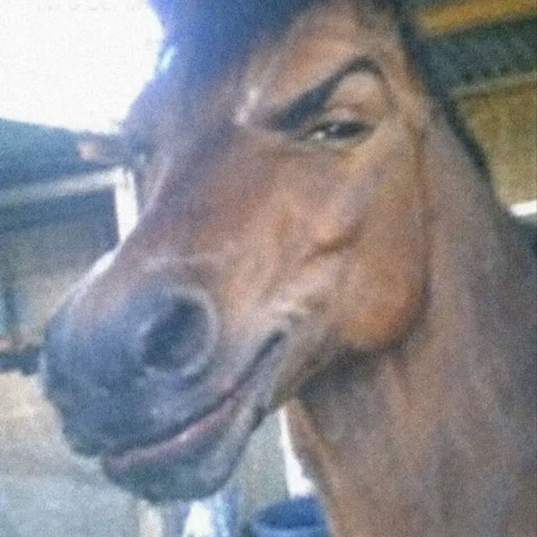 JackTheDripp