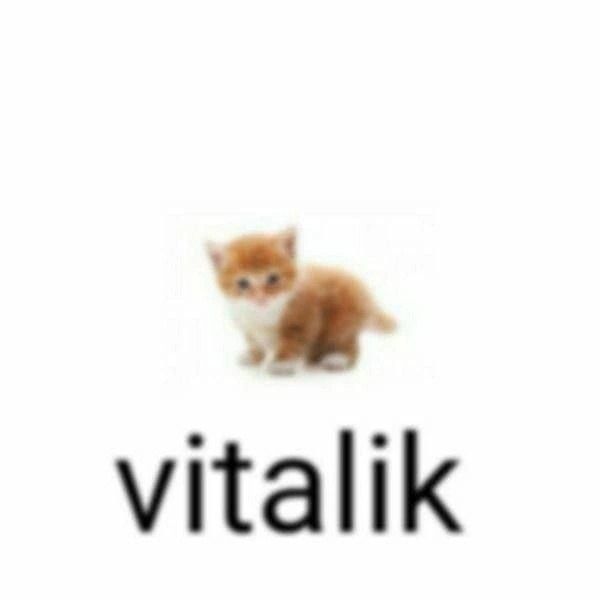 niktonekrome avatar
