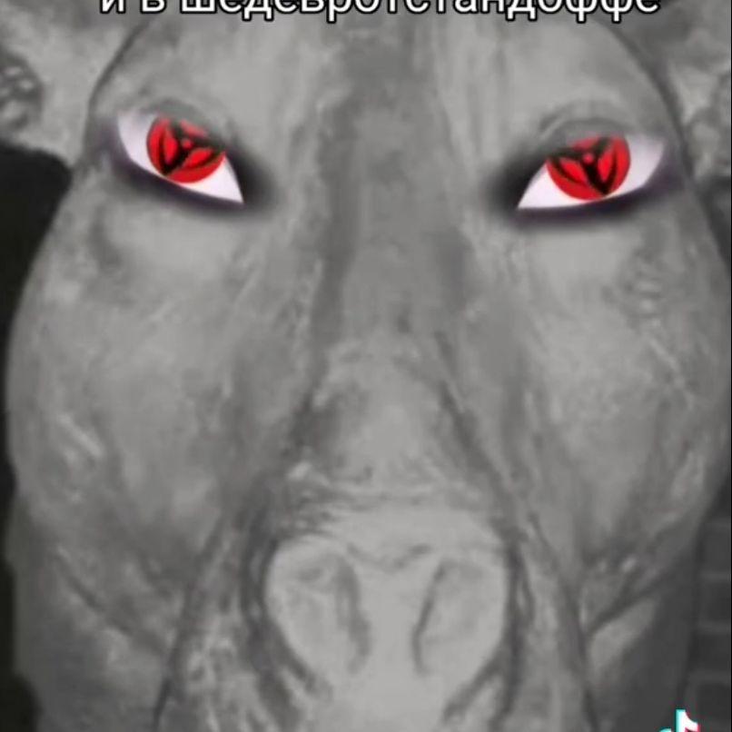 Sam0p4l avatar