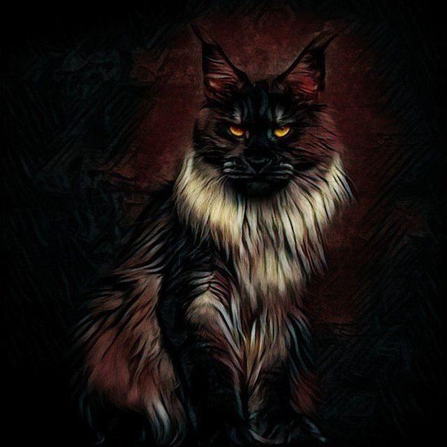 Kumpry avatar