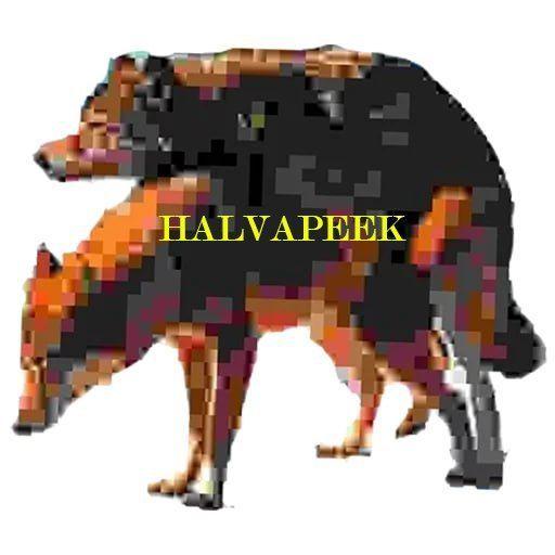 uglywhy avatar