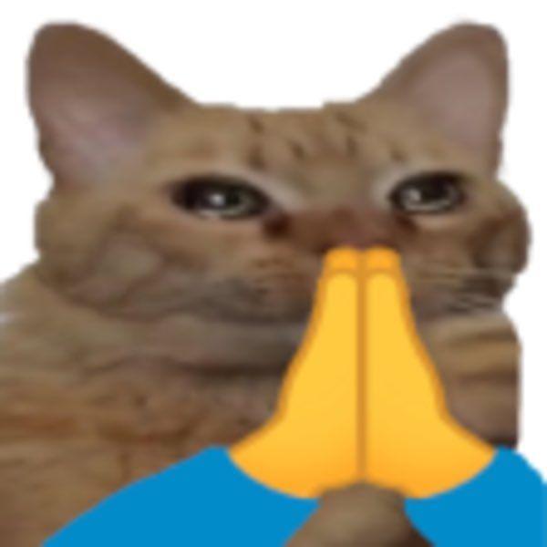 TorpeZ avatar