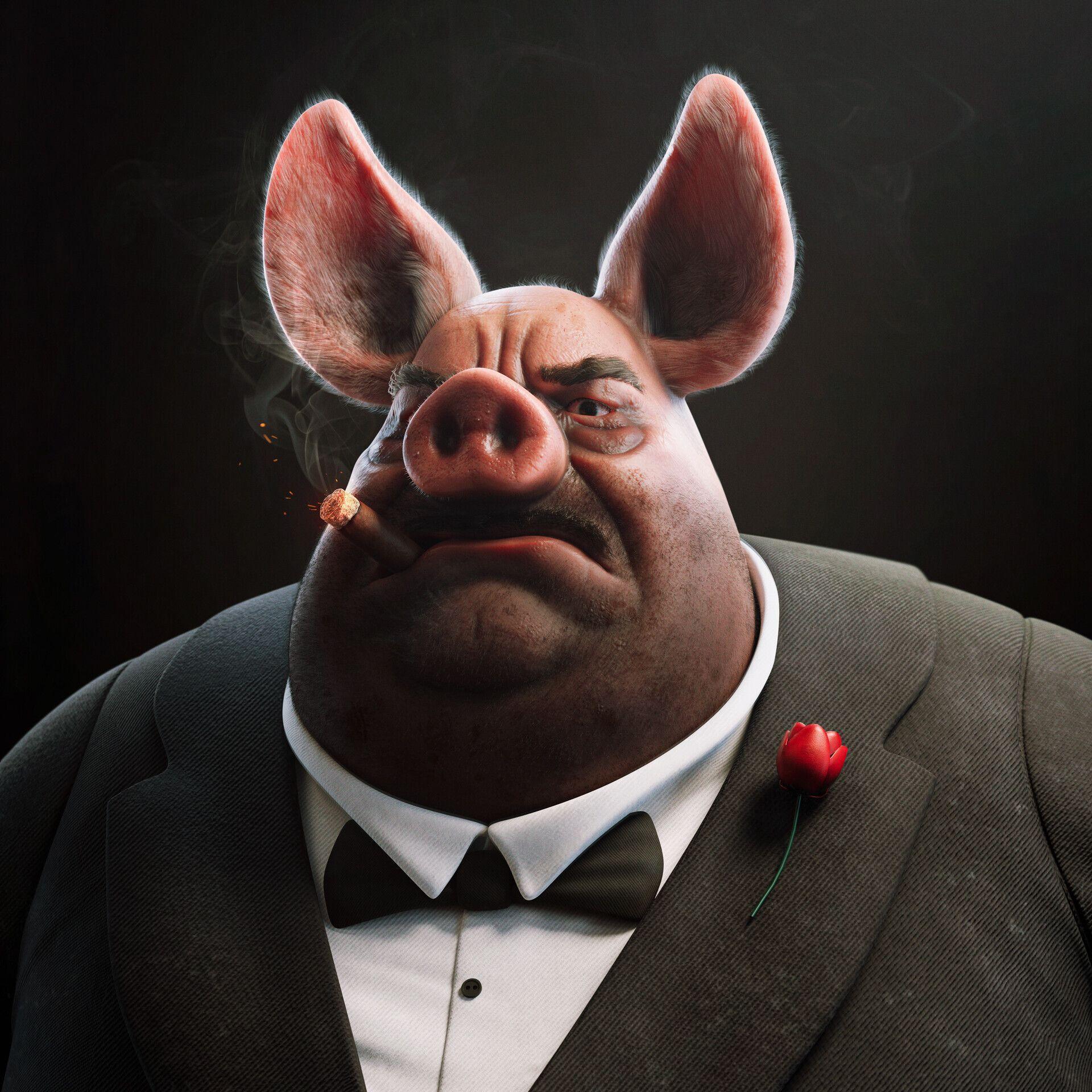 zwqqr avatar