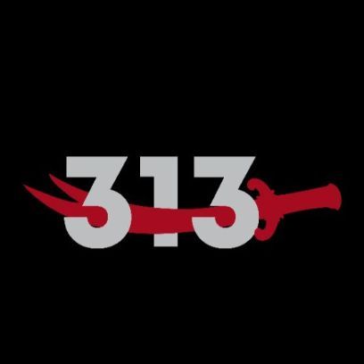 -313-
