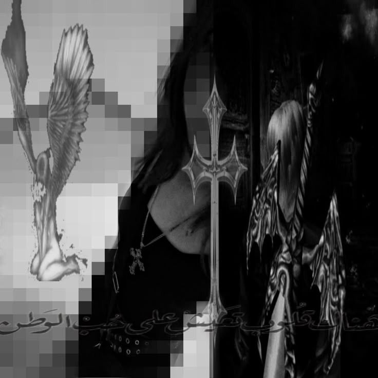 danilmem666