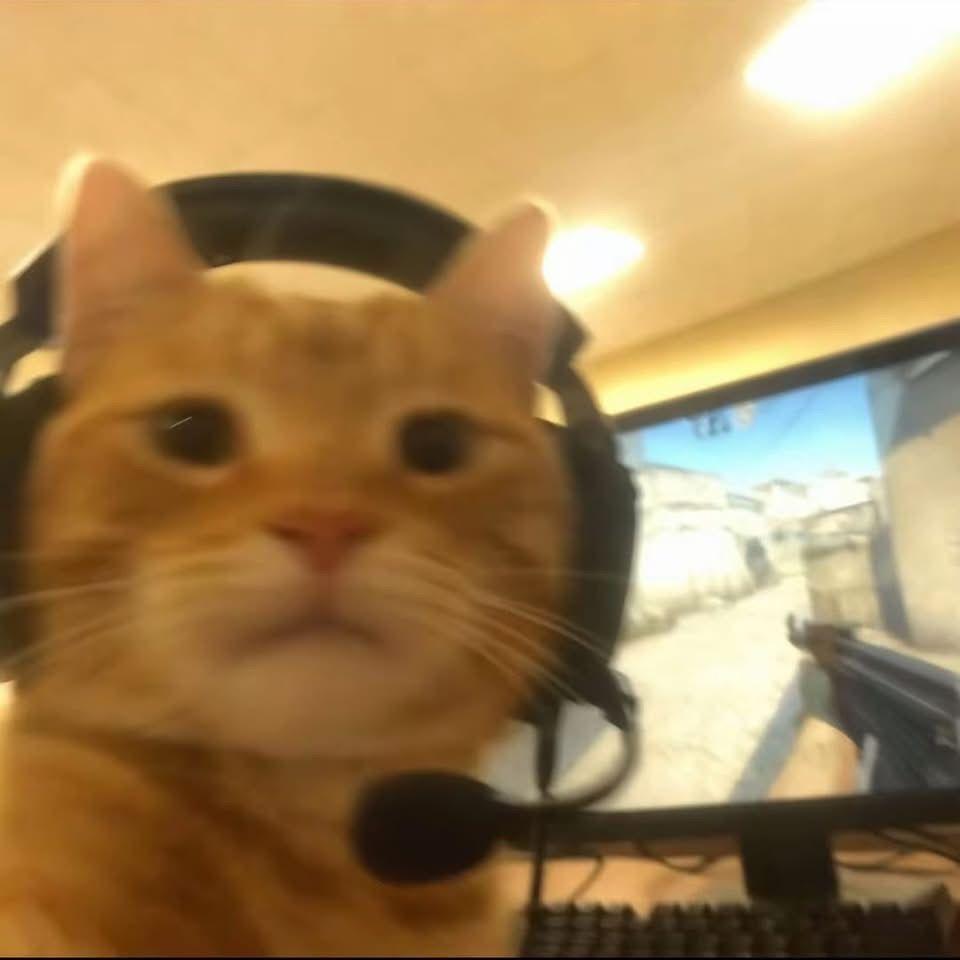 khoctutu123 avatar