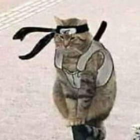 desuje avatar