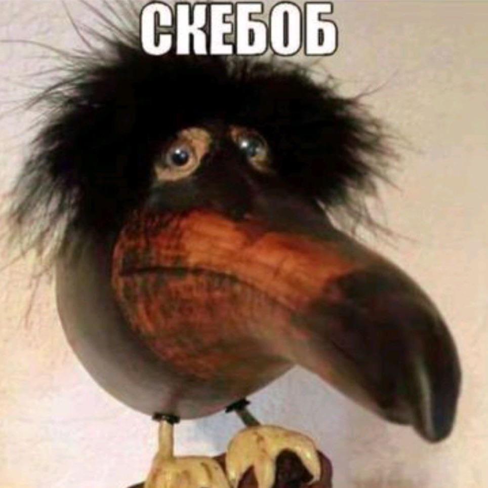 dOnsur1
