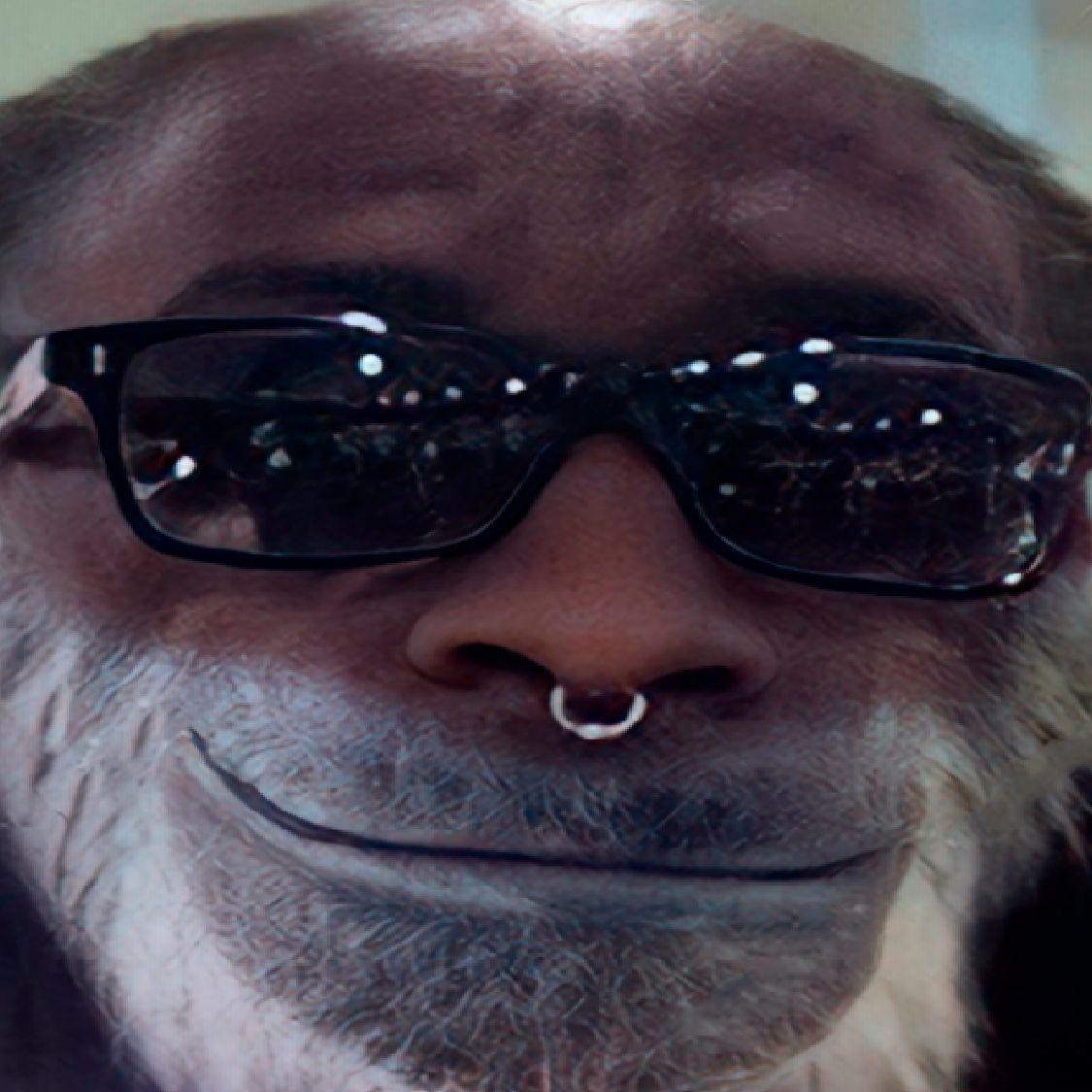 shmexible avatar