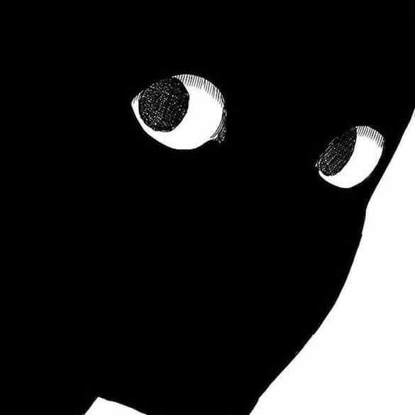S0f3 avatar
