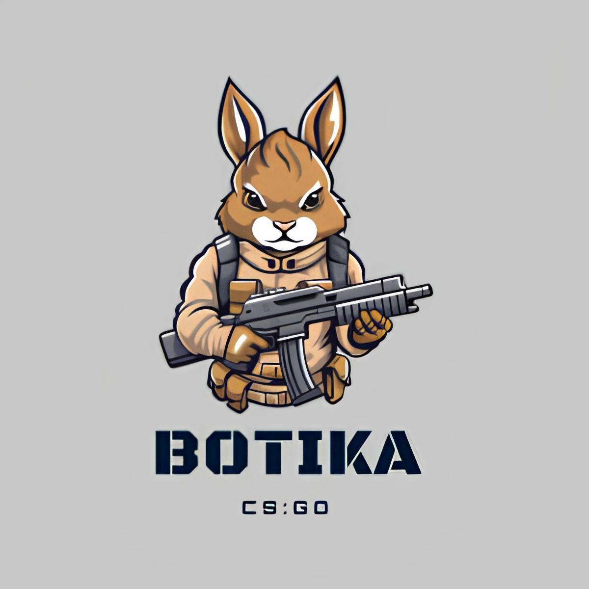 b0tika avatar
