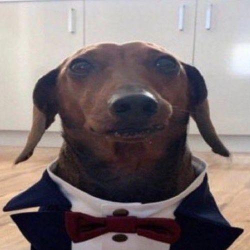 Goober Gang