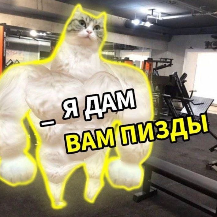 tatarflexX