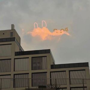 XGKGX avatar