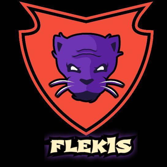 flek1s avatar