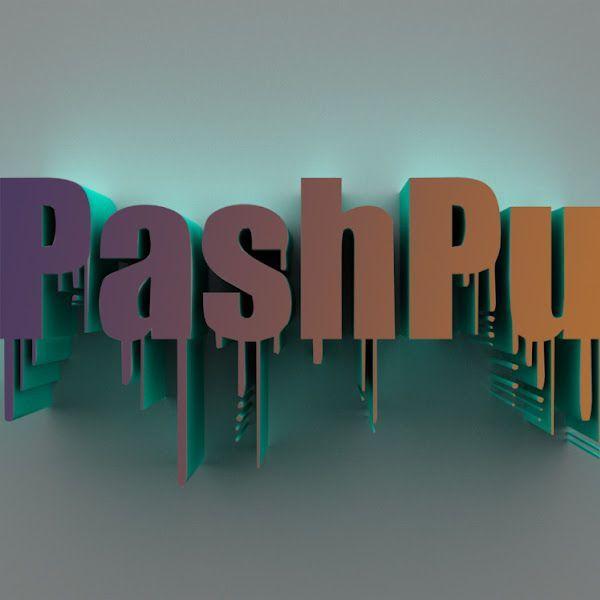 Player PashPu avatar