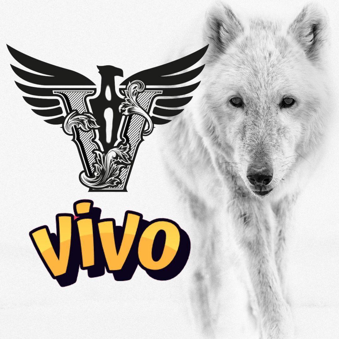Player vivo- avatar