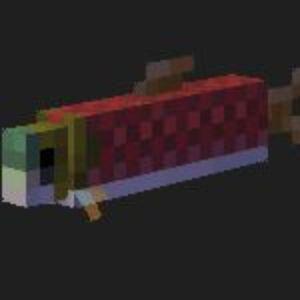 aZxq avatar