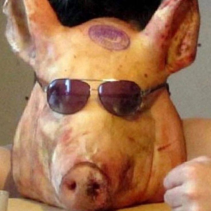 Anderdoggy avatar