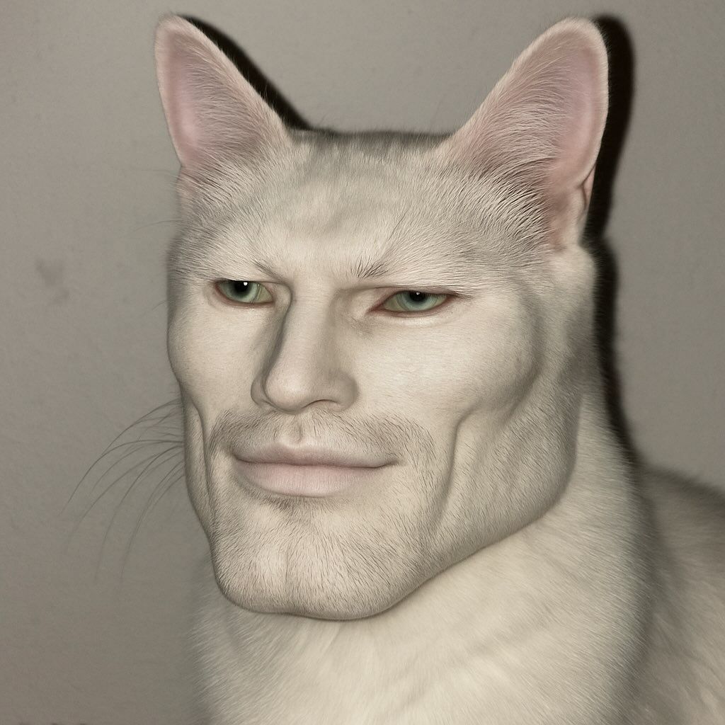 PalicZydow