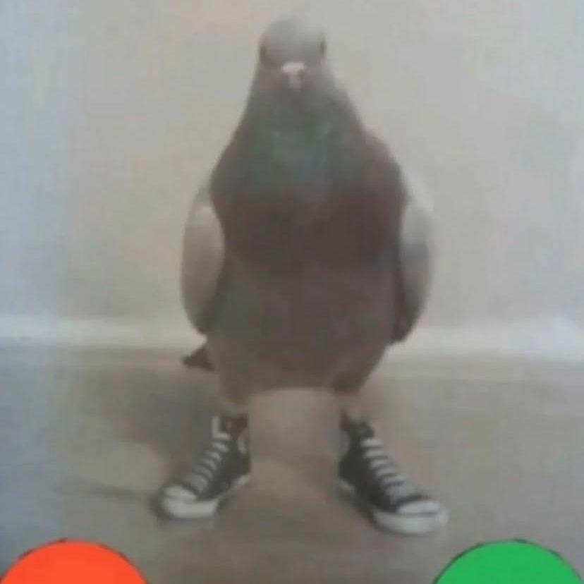 ANATOL avatar