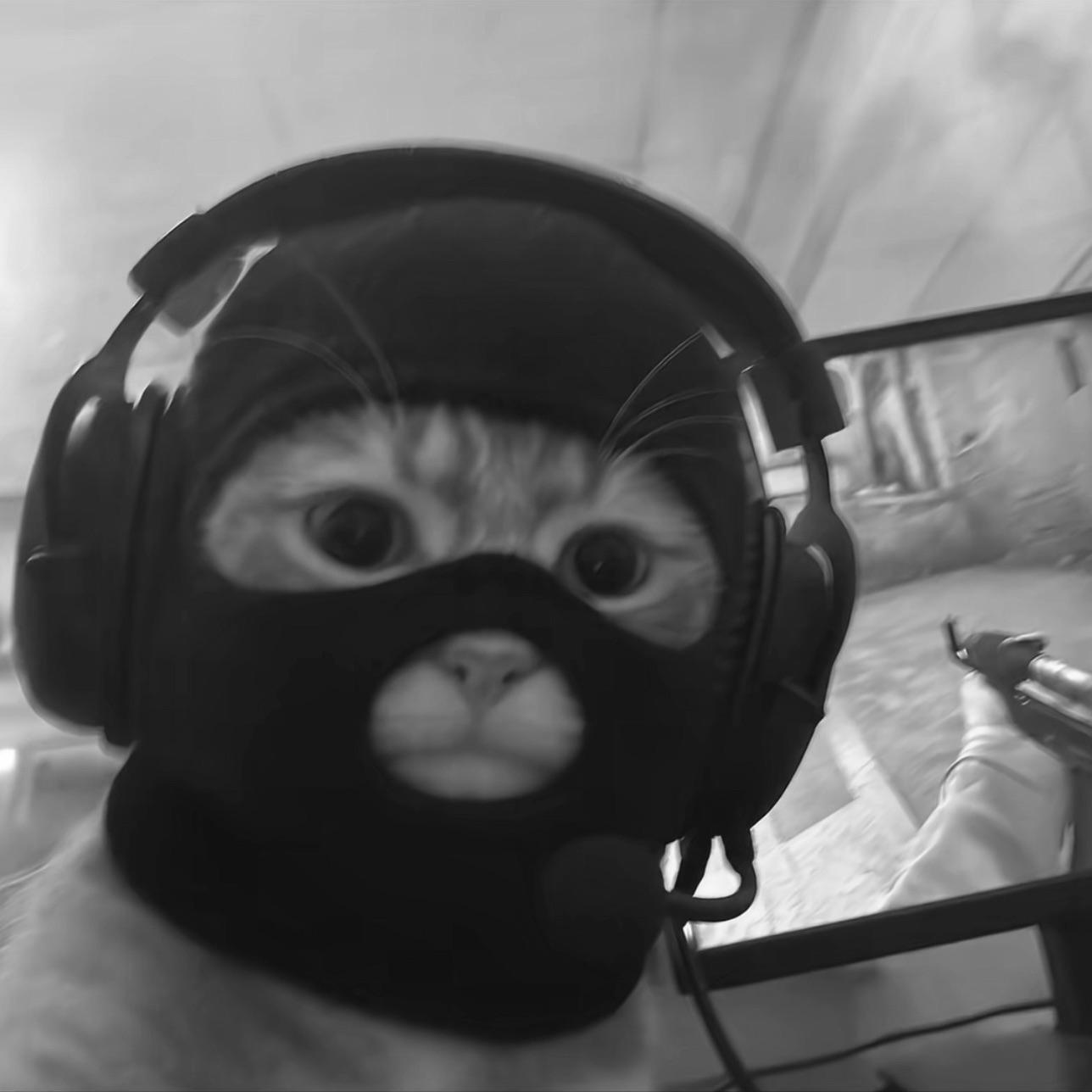 zyxrbyy