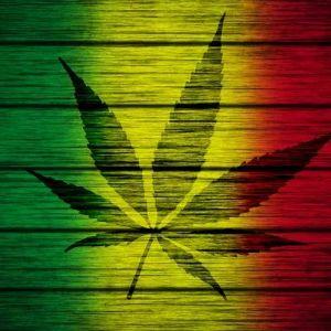1_LEx avatar