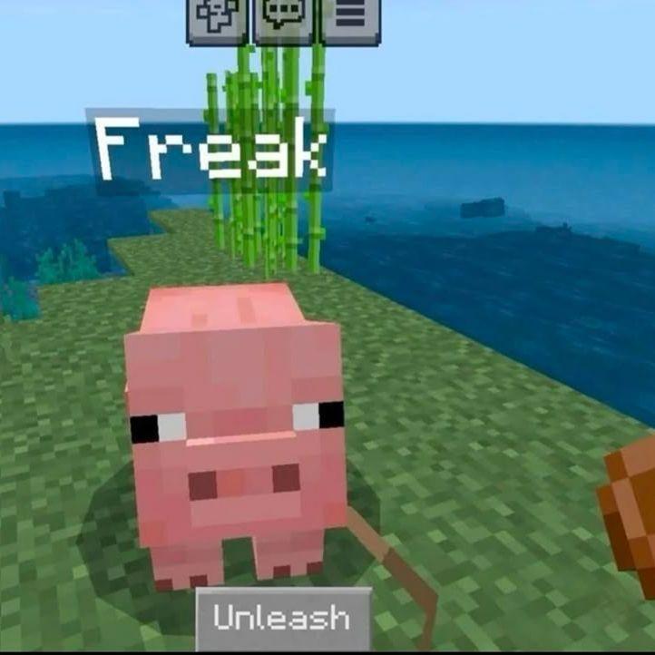 OGUZ0K7331 avatar