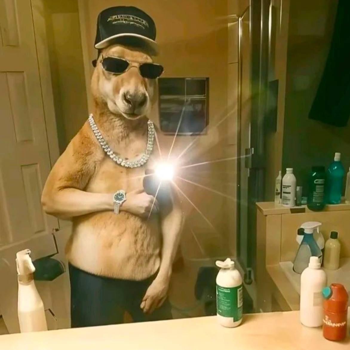 MrIGN1TE