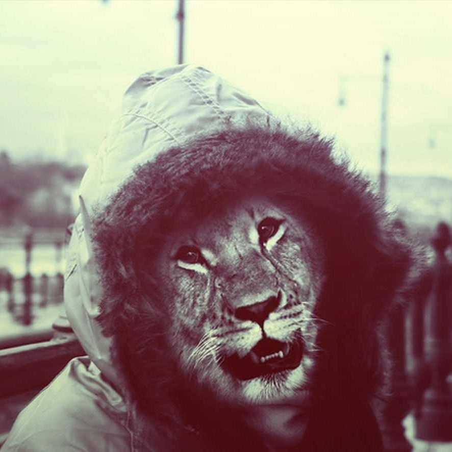 finesserasyl avatar