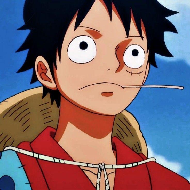 camele3000 avatar