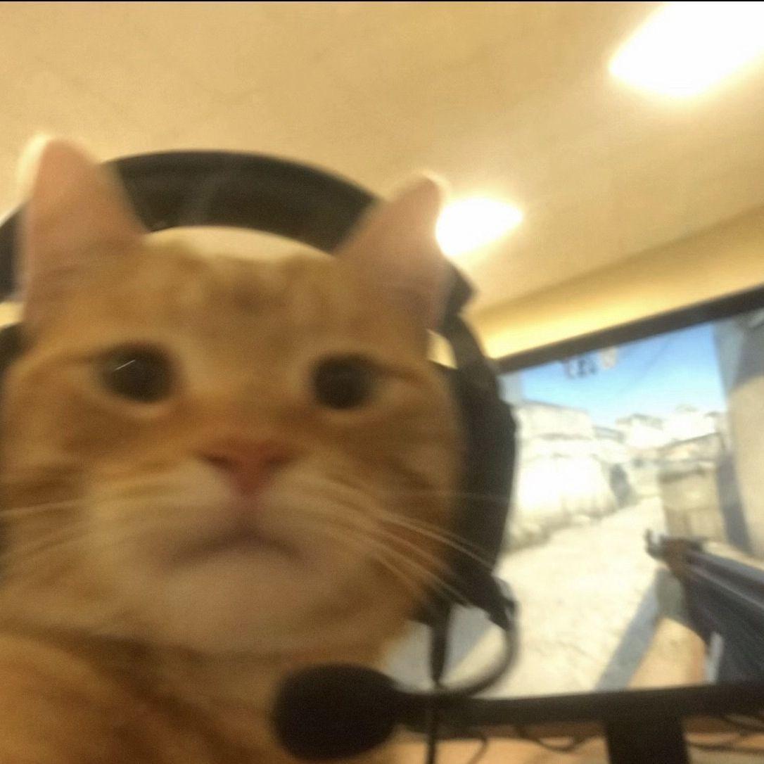 r0ko avatar