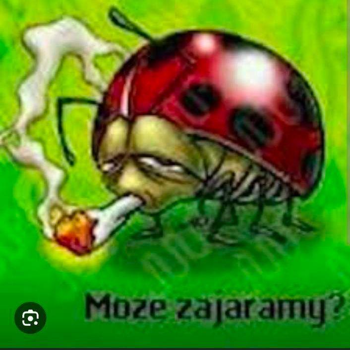 eat_skret