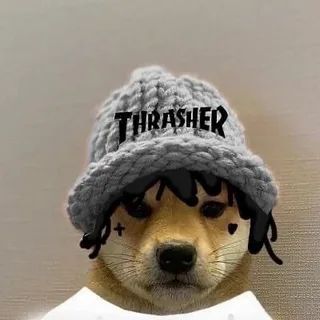 codekrest avatar