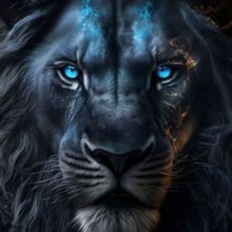 LionHeart69 avatar