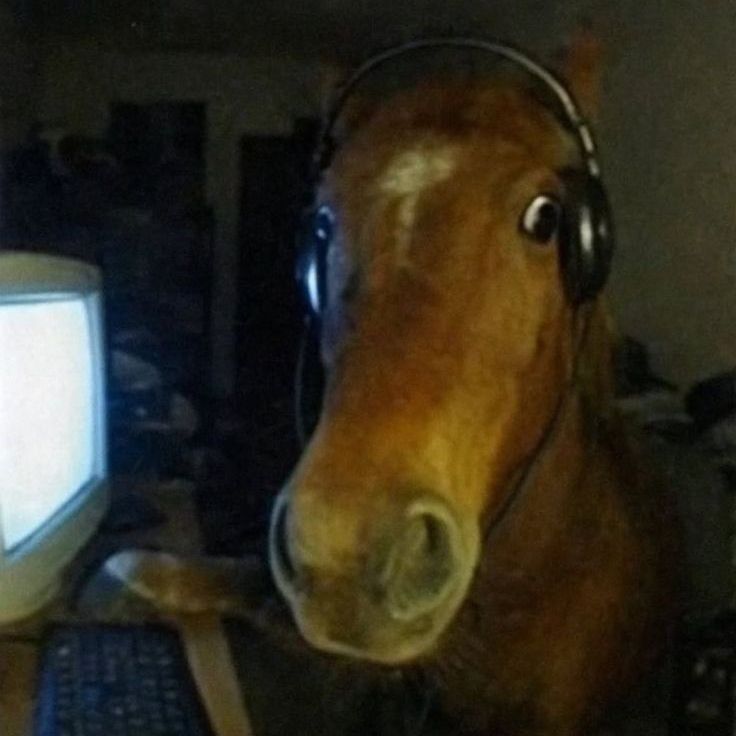 Elliazs