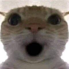 Duzyyg