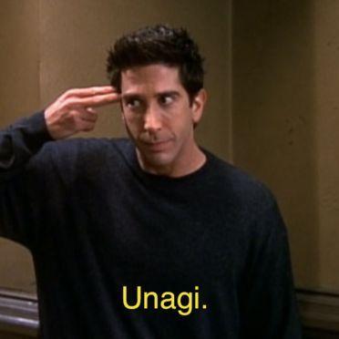 __Unagi__ avatar