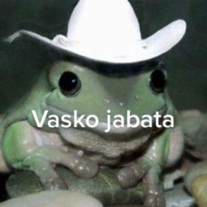 segolego avatar