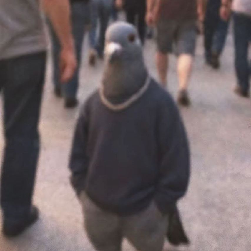 komar4ikk avatar