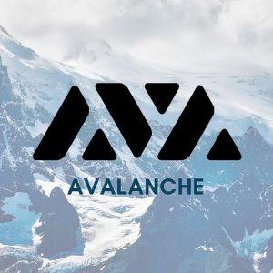 Player -Avalvnche- avatar