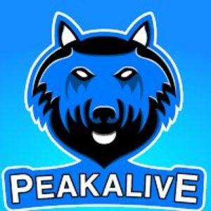 PeakAlive_YT avatar