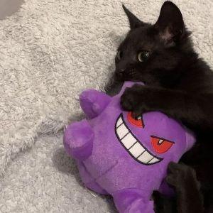 666badaz avatar