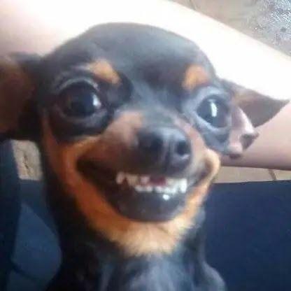jebinha avatar