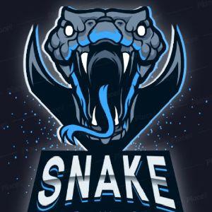 -ezSNAKE- avatar