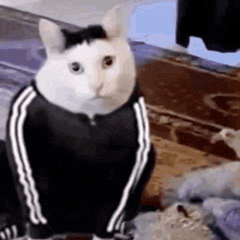 NukaCola91 avatar
