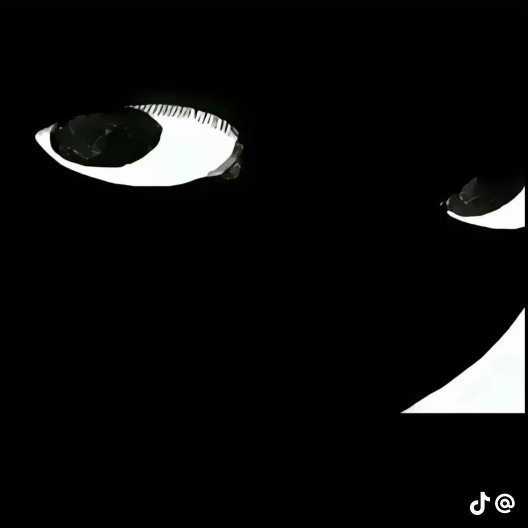 ninetwoxone avatar