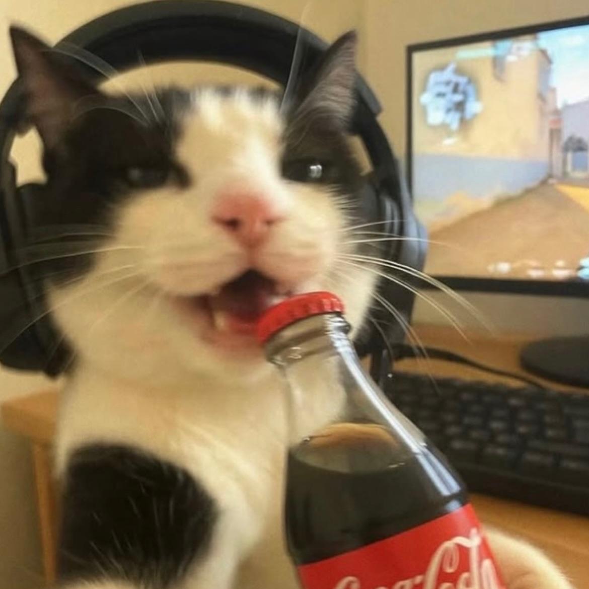 KenjiTheBEST
